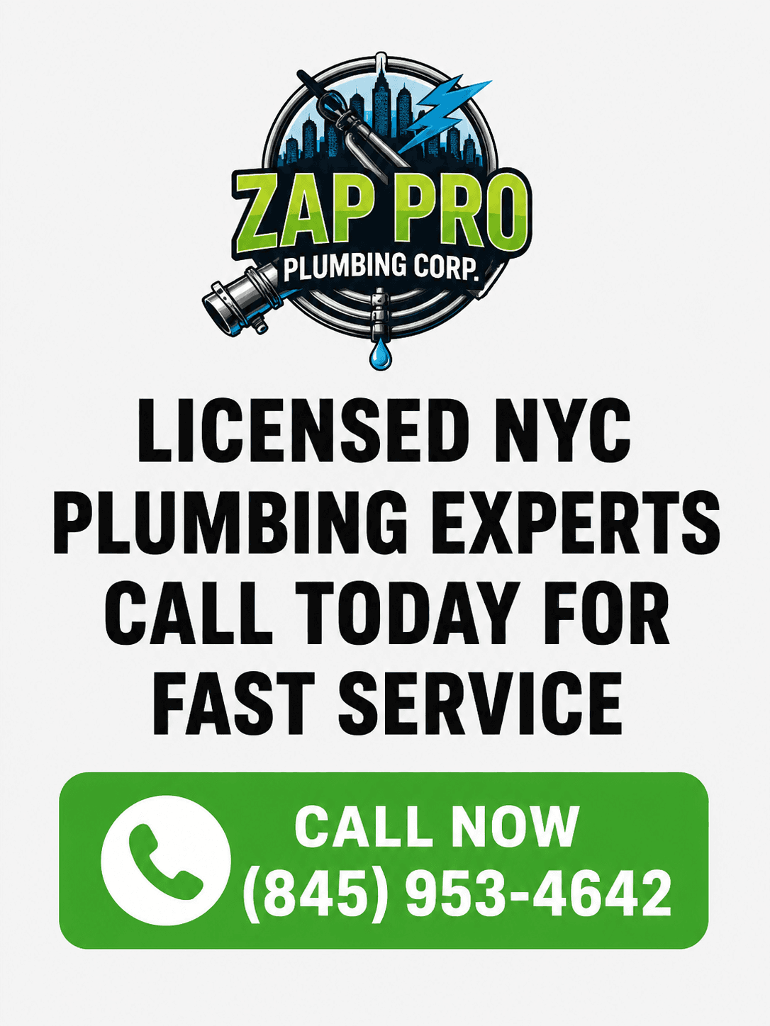 ZAP PRO PLUMBING CORP logo